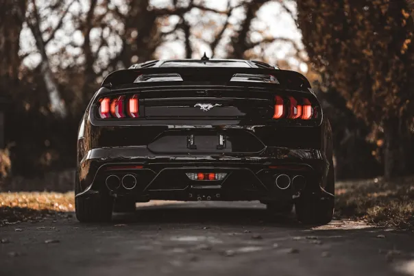 كازينو بوش بينغو تطبيق أندرويد/آي أو إس